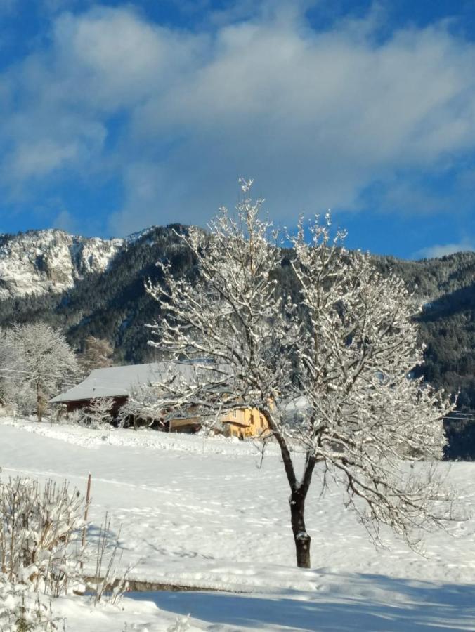 Gailtal Panorama Apartment Kotschach-Mauthen Exterior foto